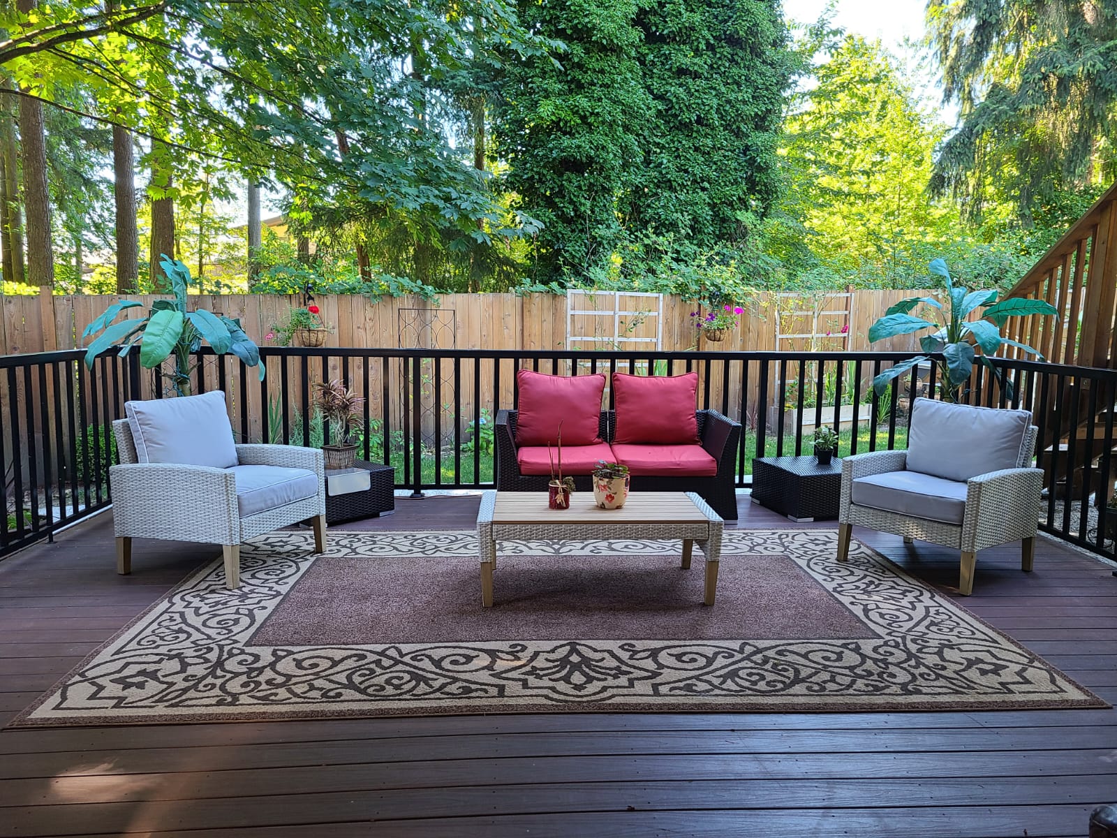 The backyard